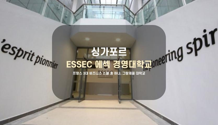 싱가포르 ESSEC 경영대학교, 프랑스3대 비즈니스 스쿨 중 하나인 명문대 학생 후기